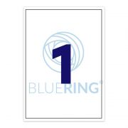 Bluering Etikett cmke, 210x297mm, 100 lap, 1 cmke/lap Bluering 