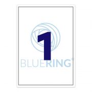 Bluering Etikett cmke, 210x297mm, 100 lap, 1 cmke/lap Bluering