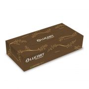 Lucart Kozmetikai kend 2 rteg 100 lap/doboz EcoNatural 100V Lucart_841073 havanna barna